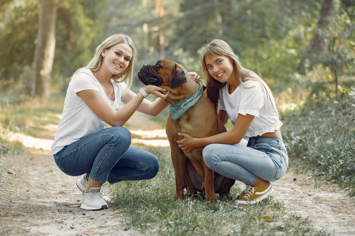 Tierfreundliche Szene – Tier und Mensch in ruhiger Alltagssituation.
